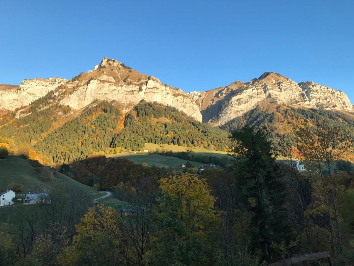 Magnifique T3 Entre Lac Et Montagne Pres D'Annecy Montmin Exterior foto