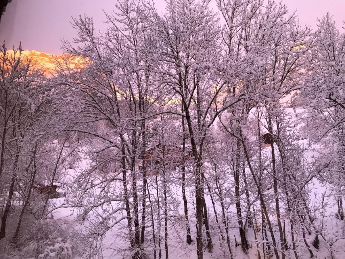 Magnifique T3 Entre Lac Et Montagne Pres D'Annecy Montmin Exterior foto